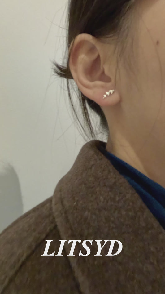 S925 Sterling Silver, Asymmetric Leaf Earrings - Nature Inspired Jewelry